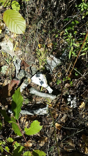 Le croque-mort - 4