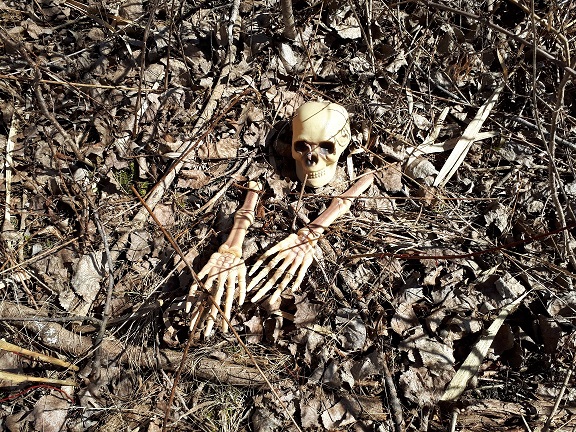 La tombe 2018