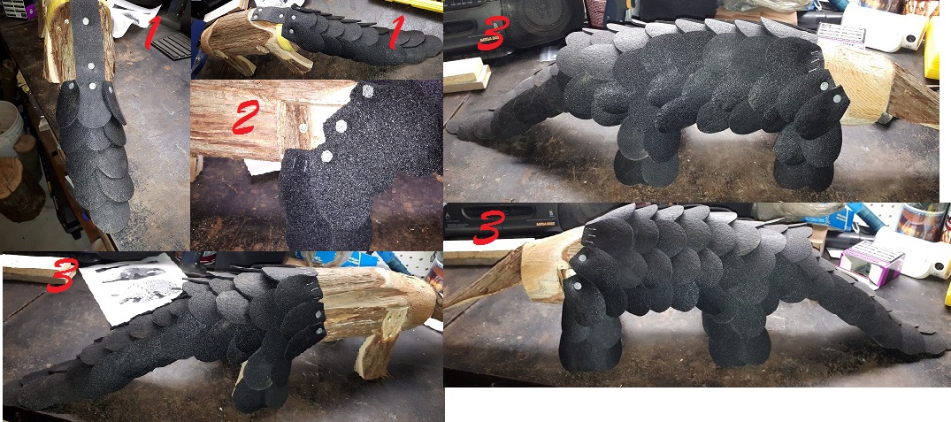 Le pangolin 6